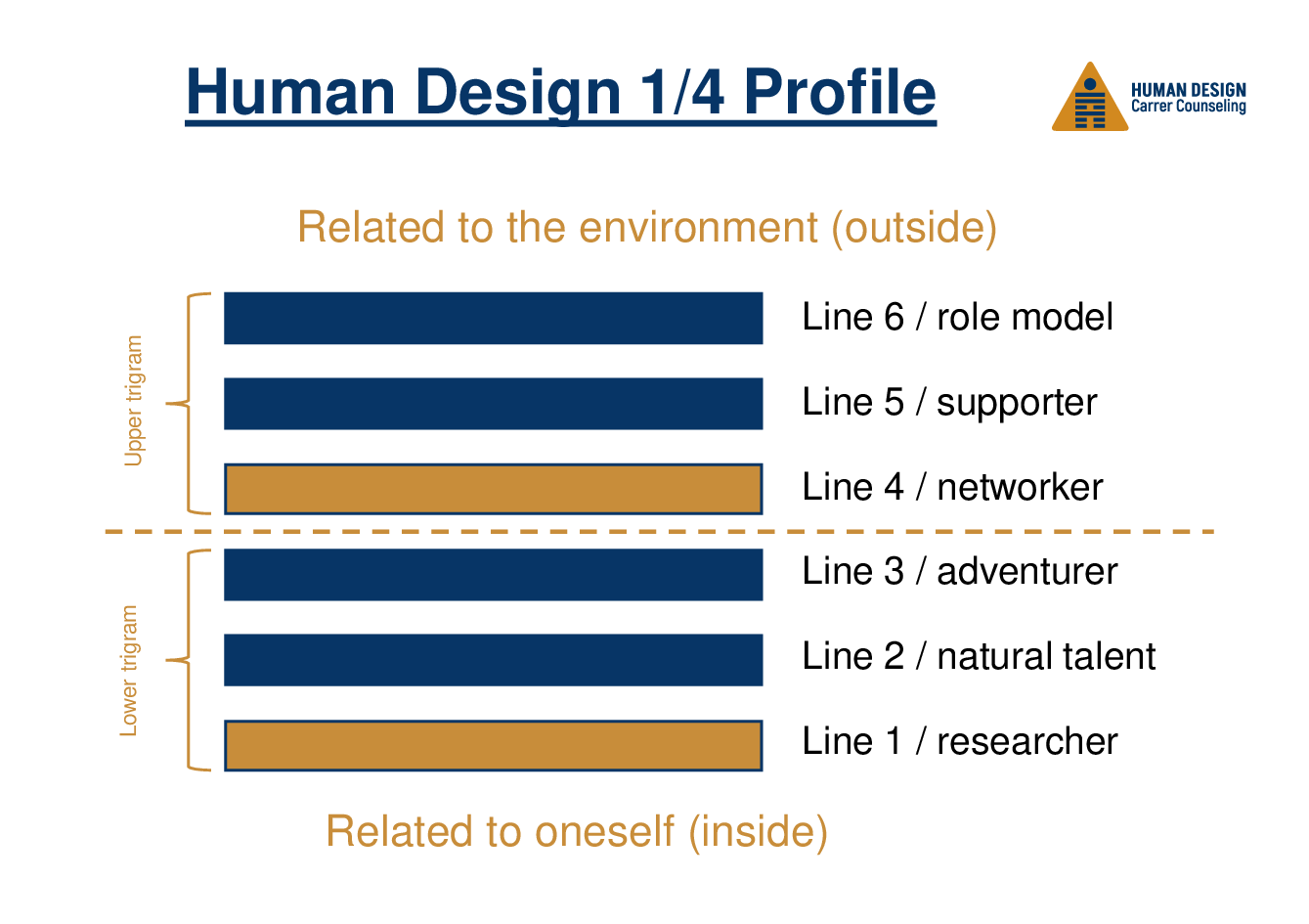 Human Design 1/4 Profile on the job