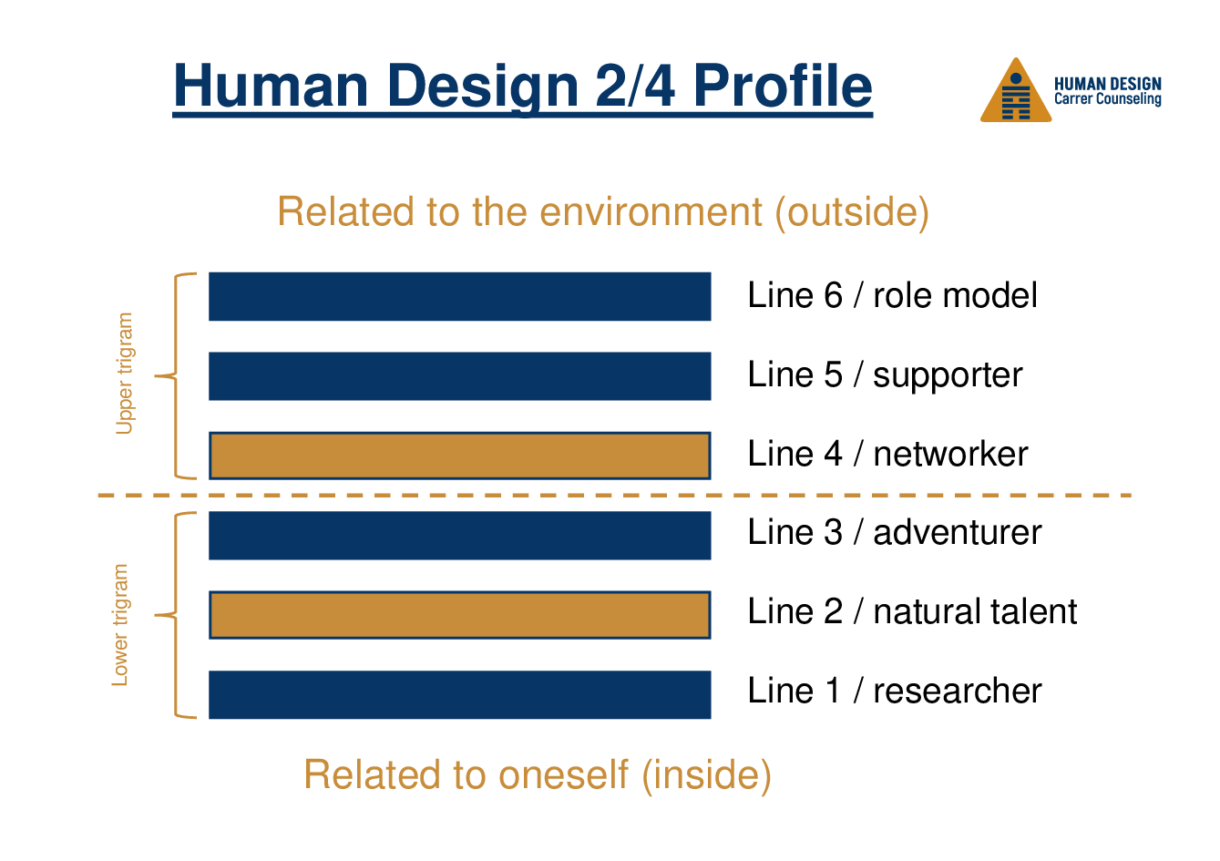 Human Design 2/4 Profile on the job