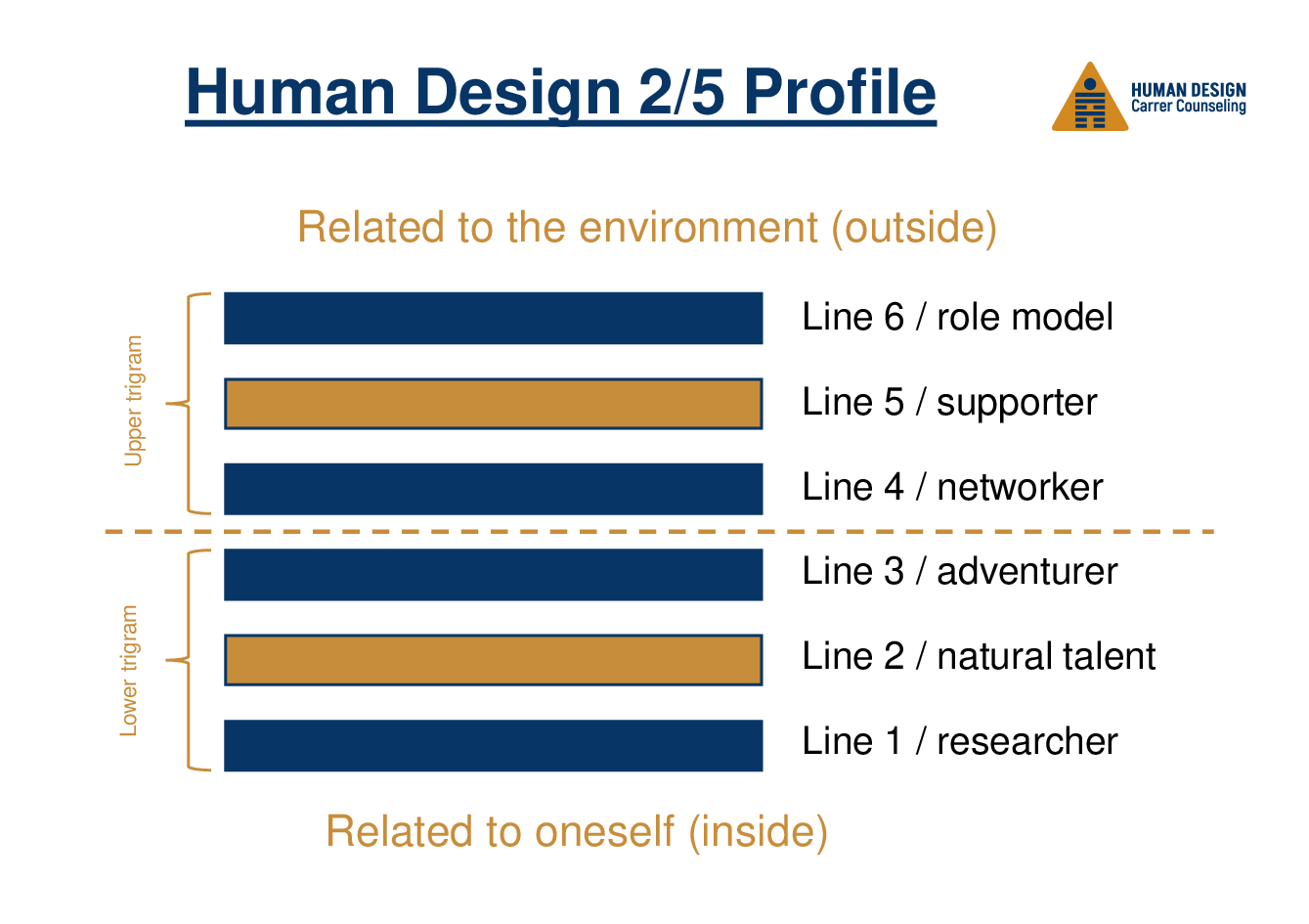 Human Design 2/5 Profile on the Job