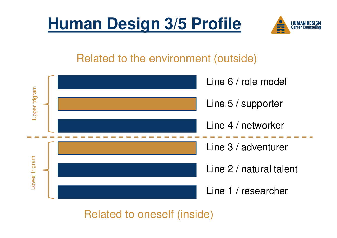 Human Design 3/5 Profile on the job