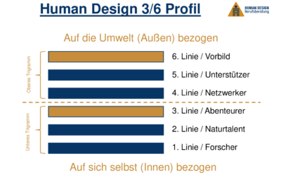 Human Design 3/6 Profil im Beruf