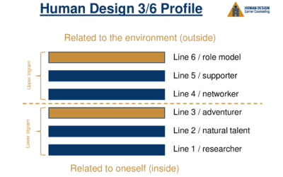 Human Design 3/6 Profile in the working world