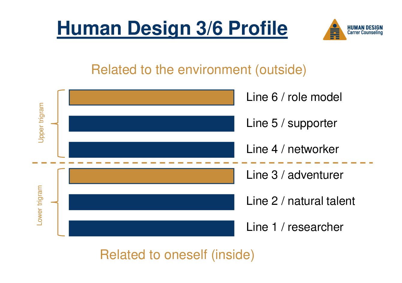 Human Design 3/6 Profile on the job