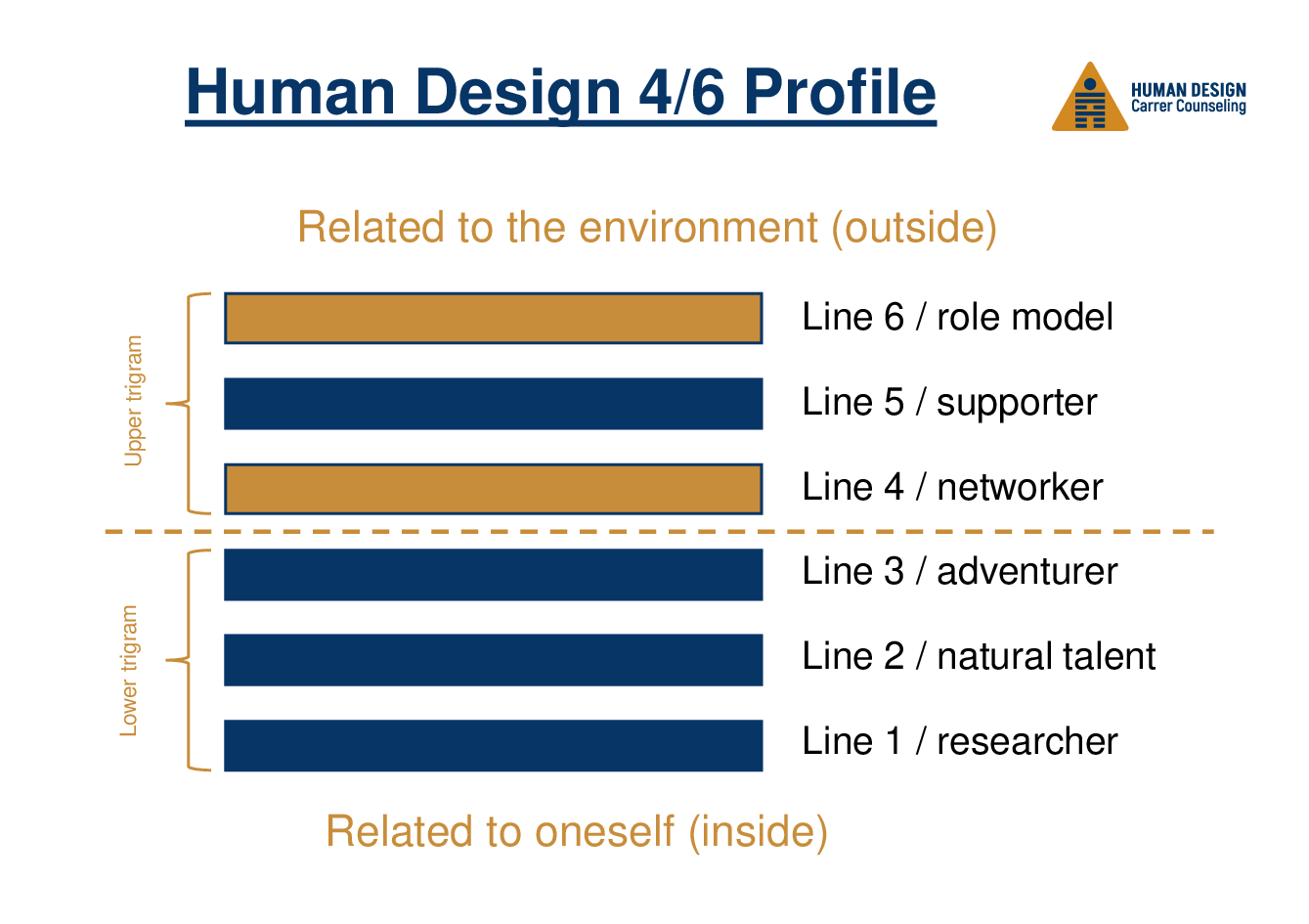 Human Design 4/6 Profile on the job
