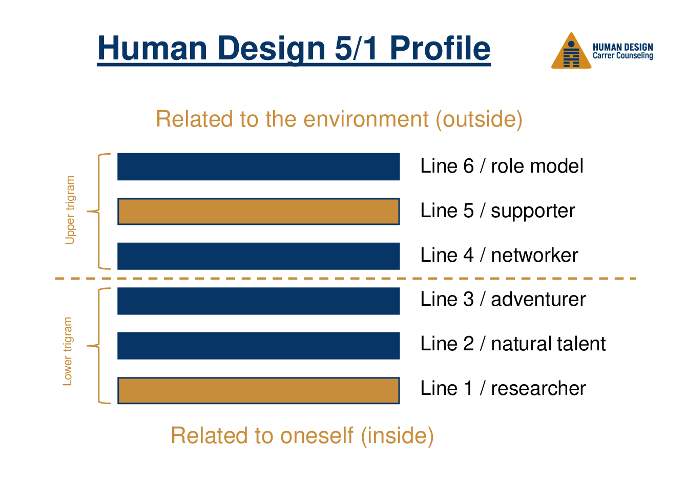 Human Design 5/1 Profile on the job