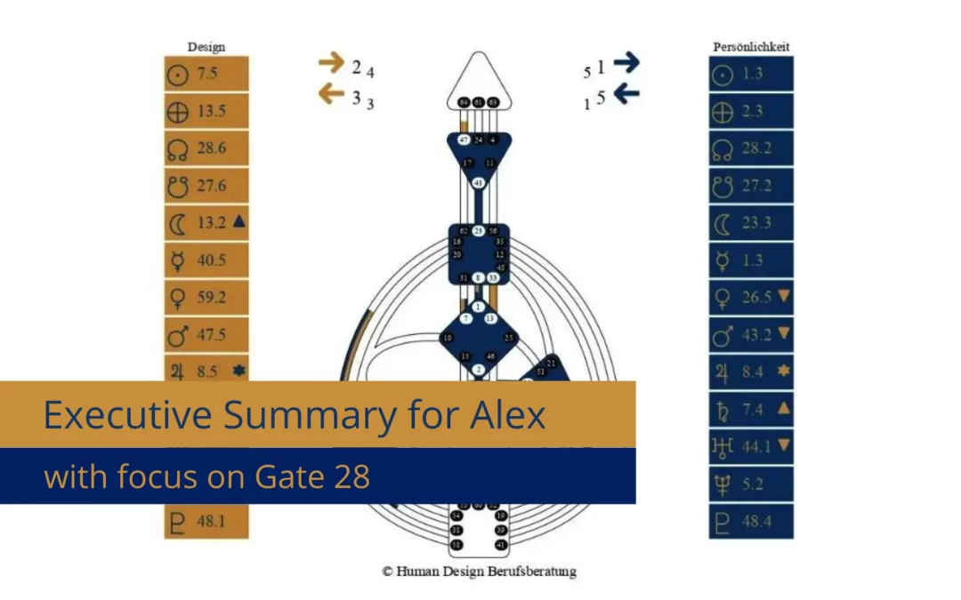 Executive Summary by Alex and the Human Design Gate 28 in focus