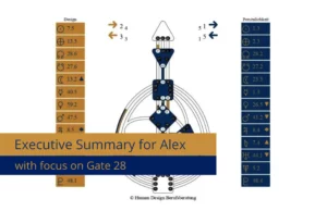 Executive Summary for Alex with focus on gate 28