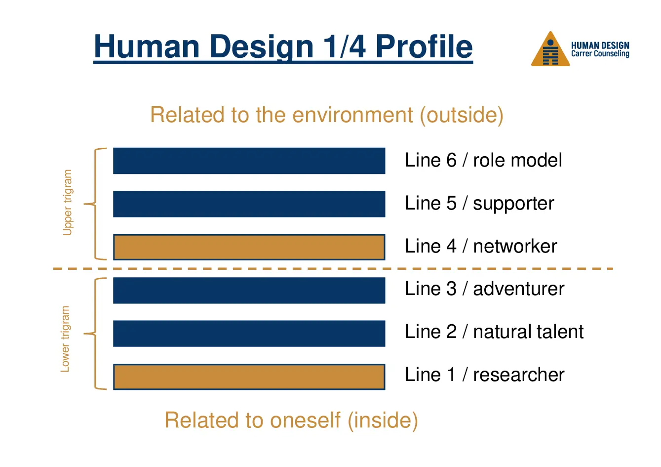 Human Design 1/4 Profile visually explained as a hexagram