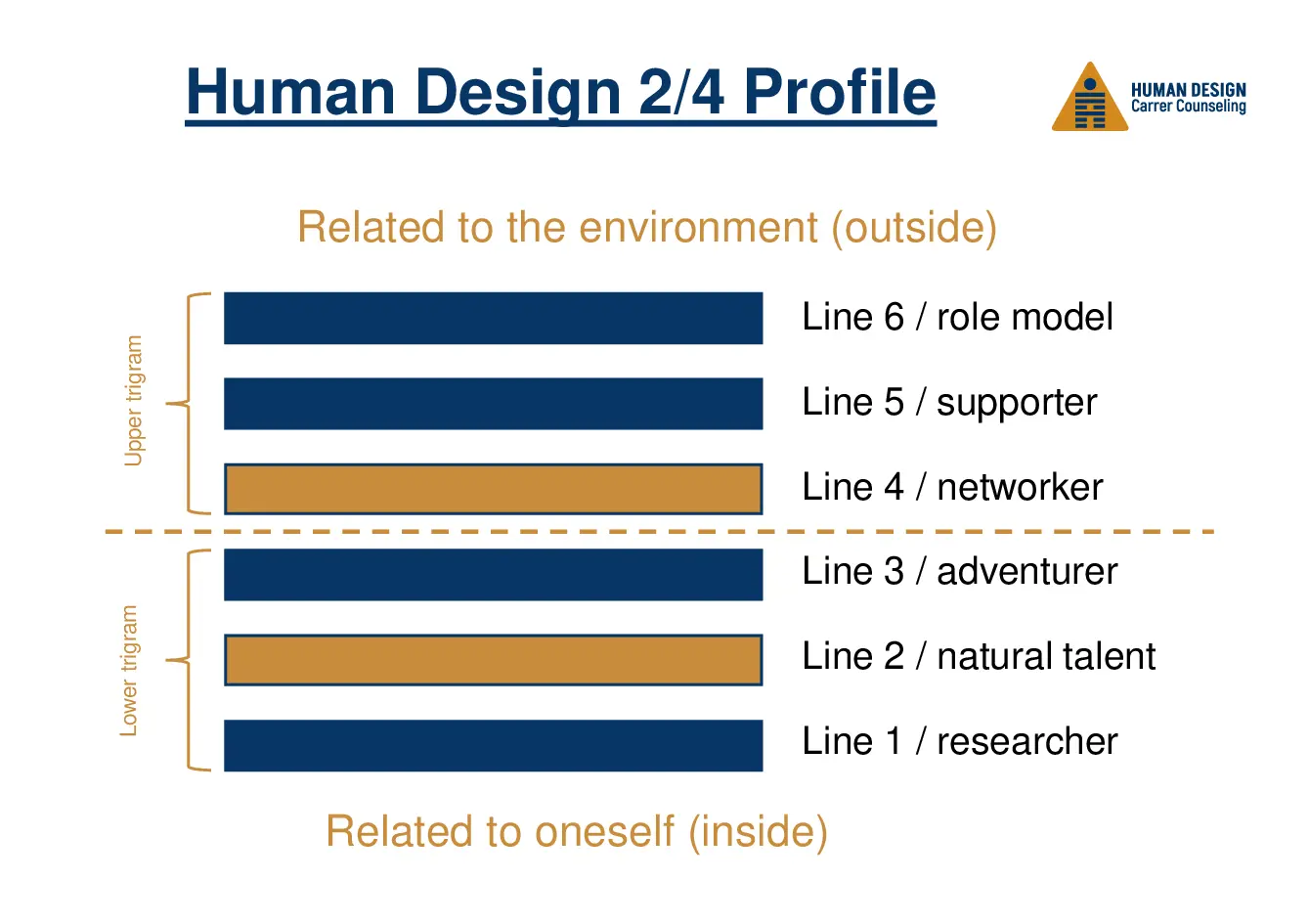 Human Design 2/4 Profile visually explained as a hexagram