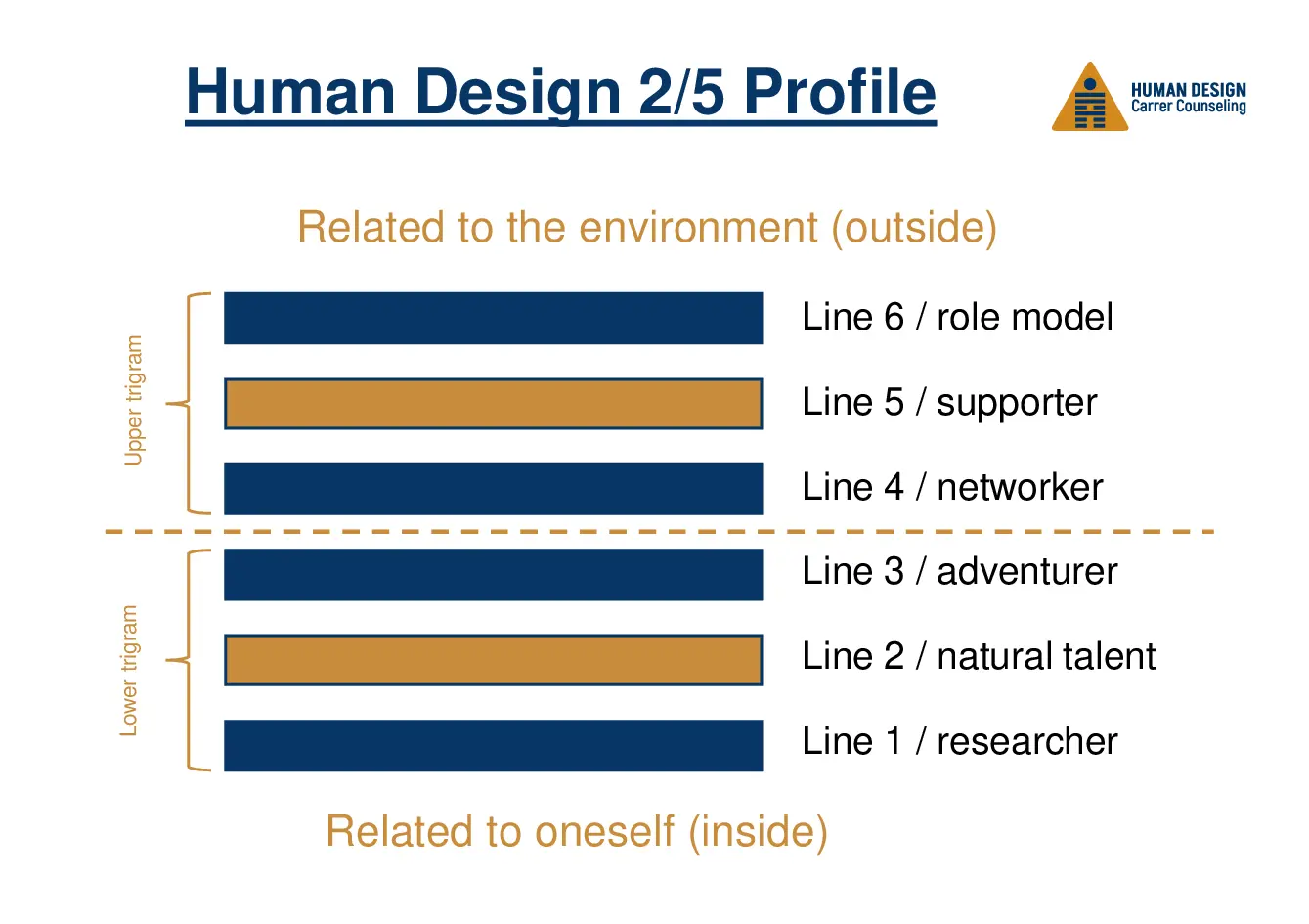 Human Design 2/5 Profile visually explained as a hexagram