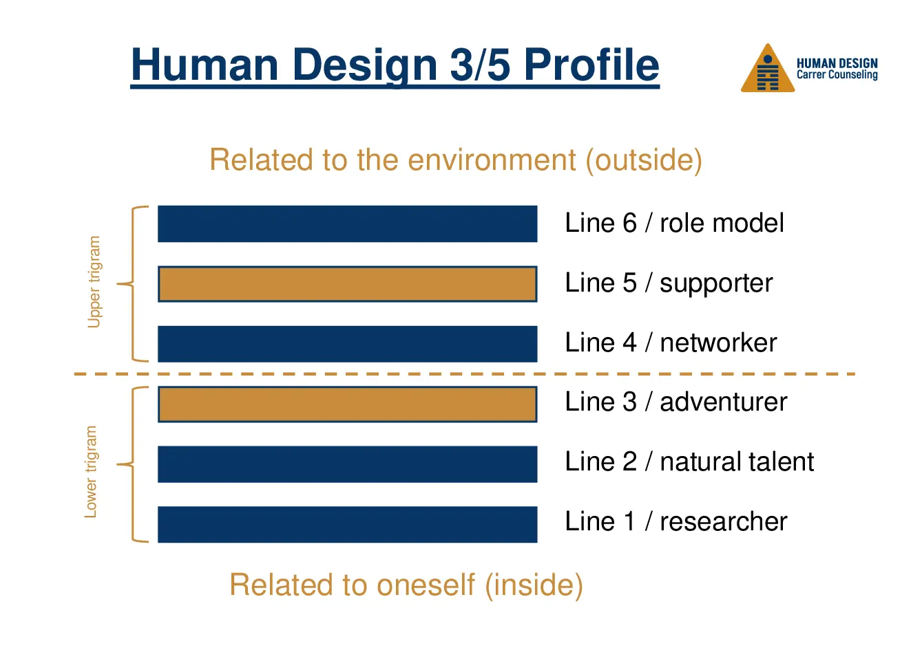 Human Design 3/5 Profile visually explained as a hexagram