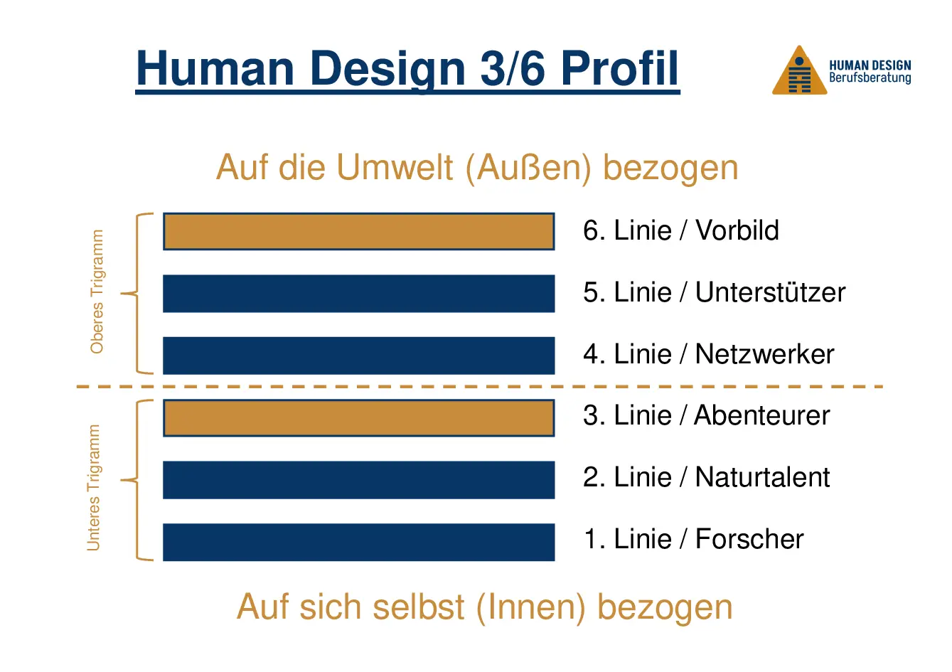 Human Design 3/6 Profile visually explained as a hexagram