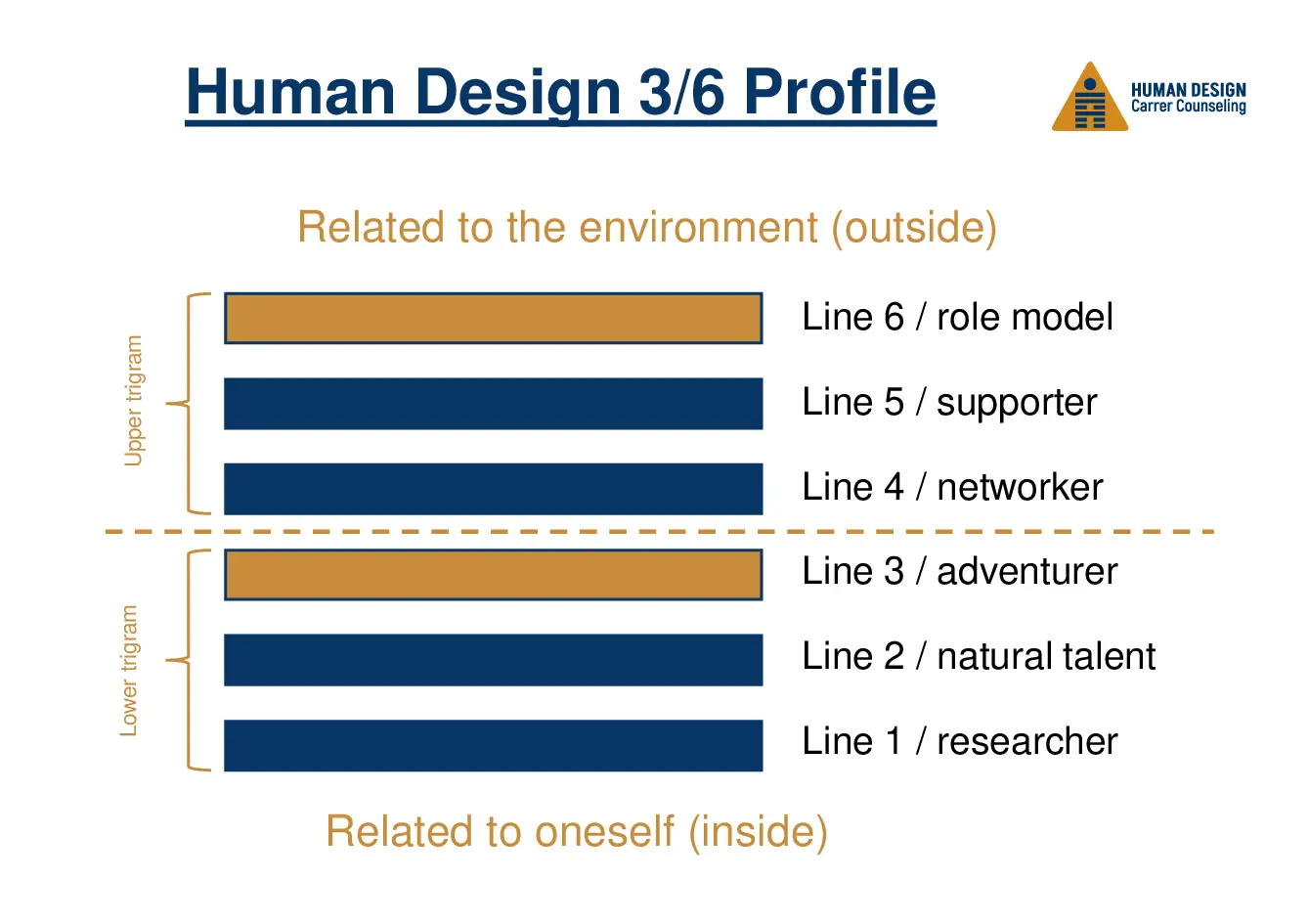 Human Design 3/6 Profile visually explained as a hexagram