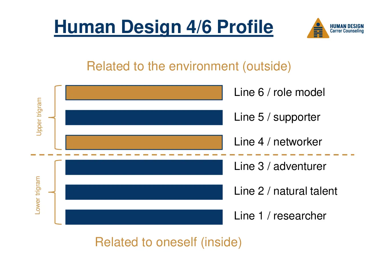 Human Design 4/6 Profile visually explained as a hexagram