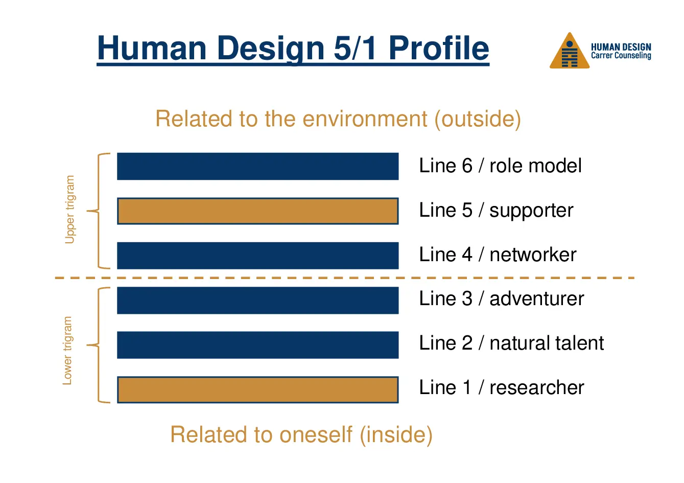 Human Design 5/1 Profile visually explained as a hexagram