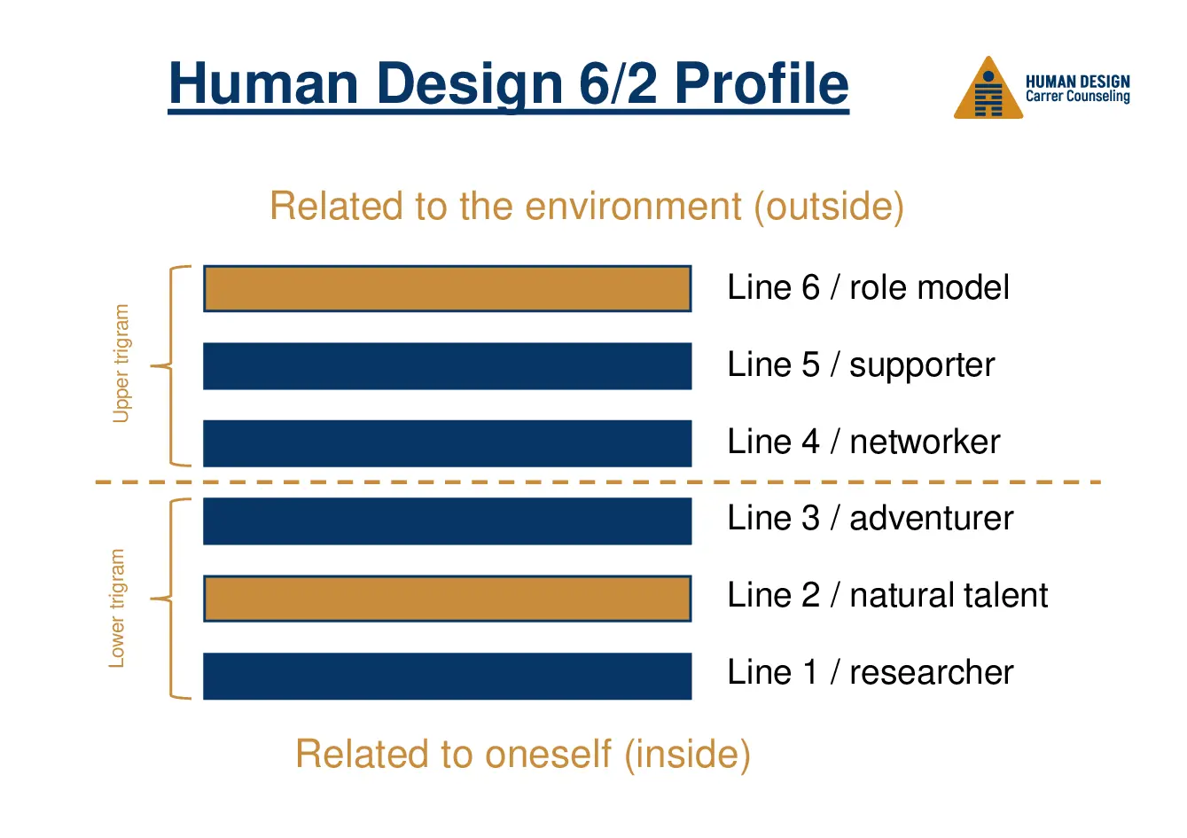 Human Design 6/2 Profile visually explained as a hexagram