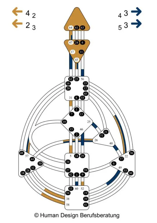 Human Design Chart of a Projector