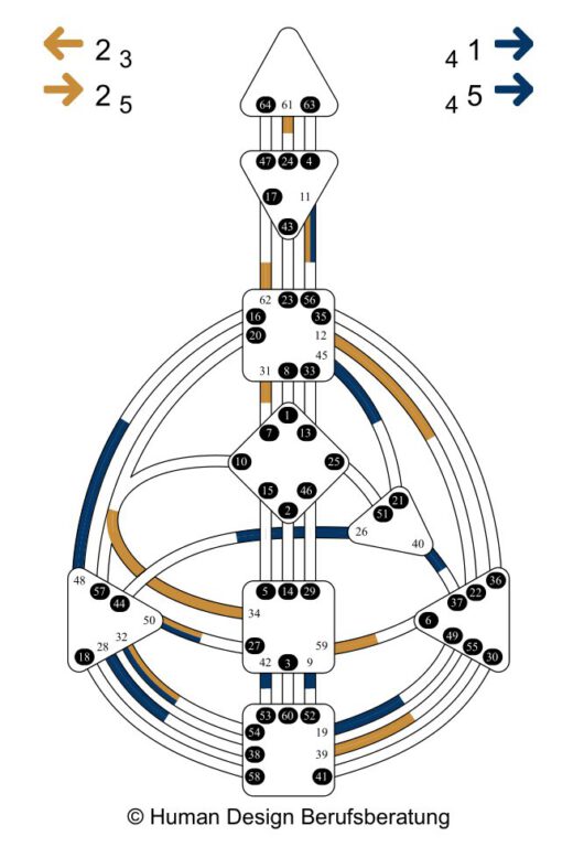 Human Design Chart Reflektor