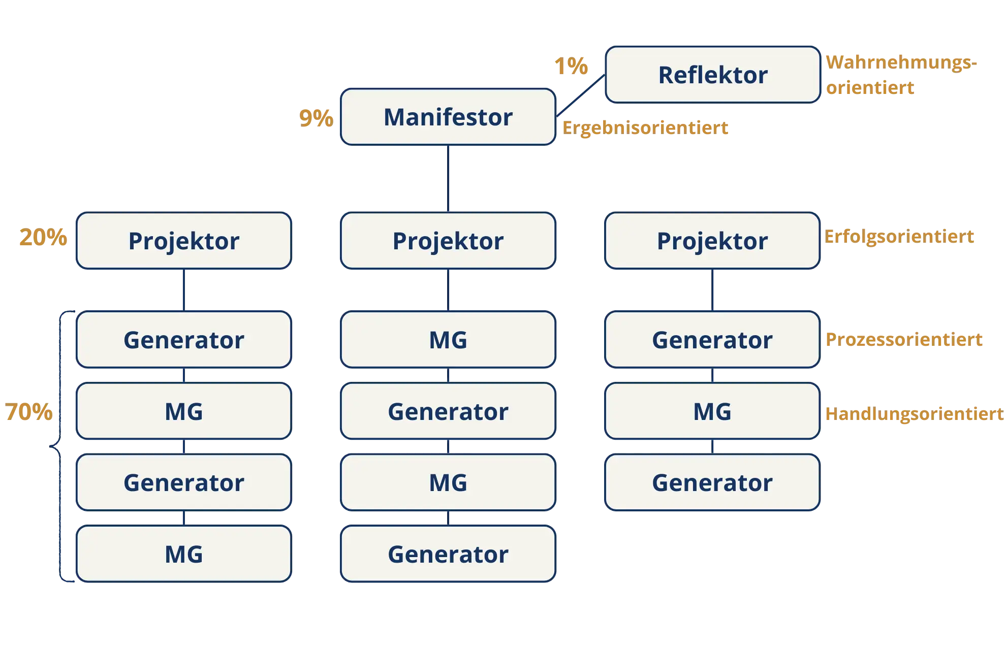 Human Design Typen Organigramm