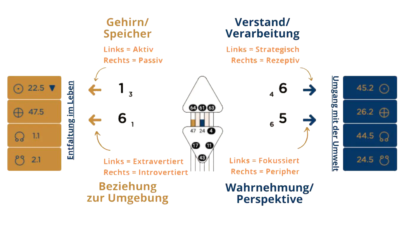 Beispiel Human Design Variablen mit Pfeilen