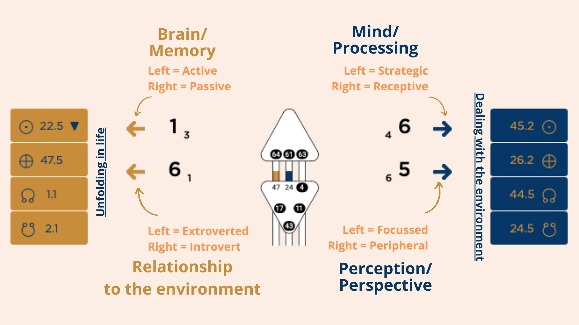 Example of Human Design Variables with arrows