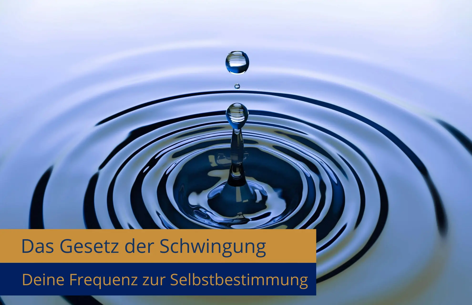 Ringe im Wasser spiegeln das Gesetz der Schwingung wider