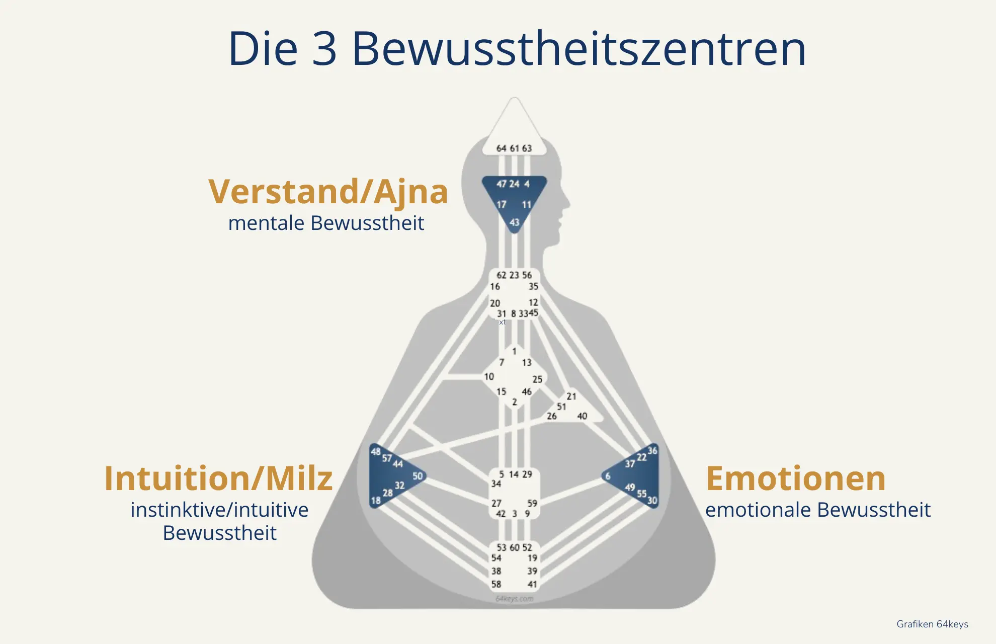 Bewusstheitszentren Ajna, Milz, Emotionen
