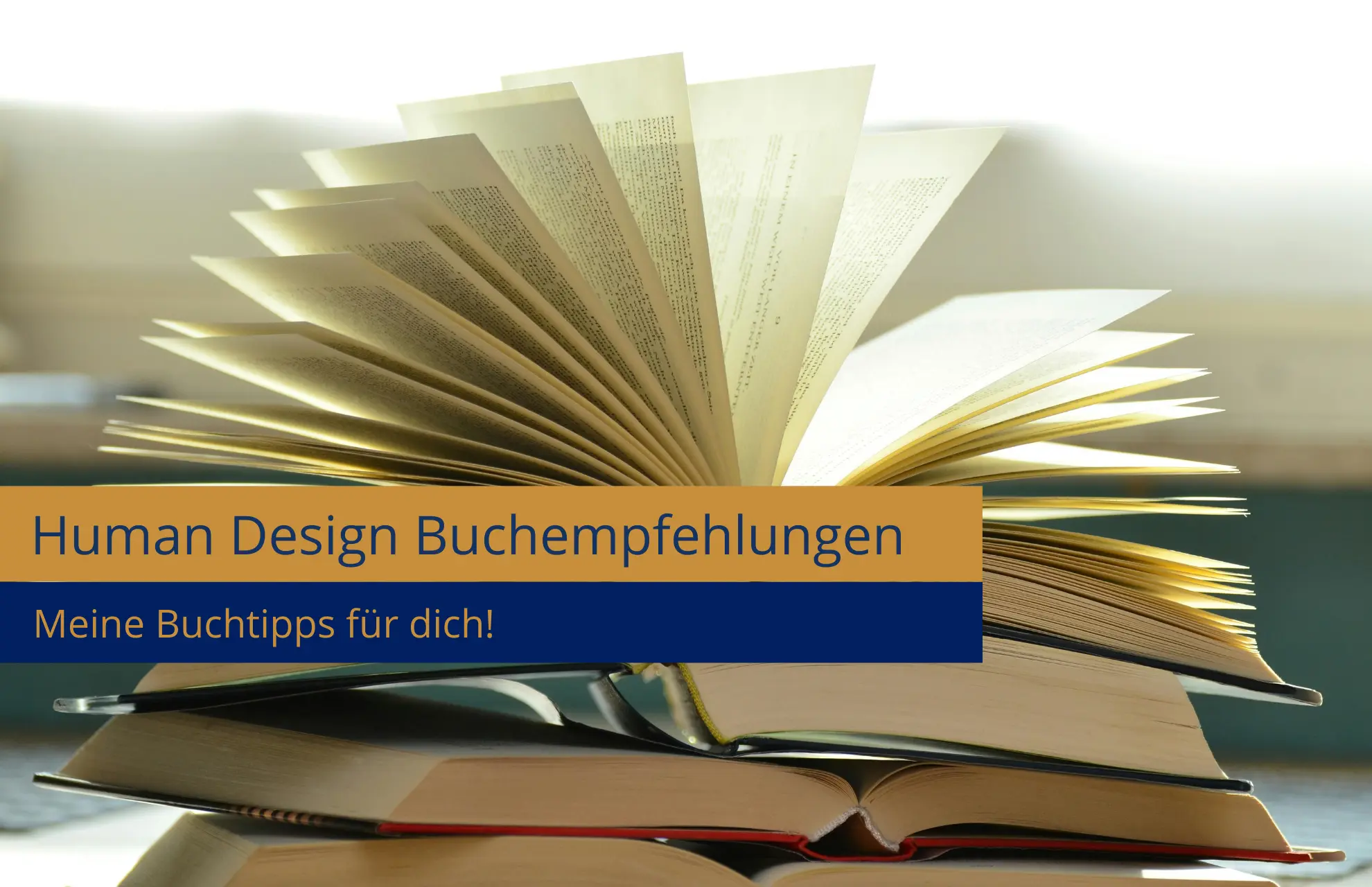 Human Design Buchempfehlung
