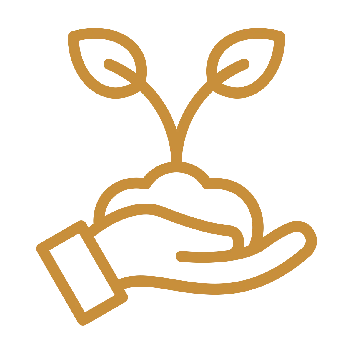 Human Design Business Consulting – plant symbolizes growth