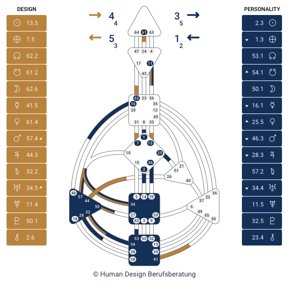 Human Design Chart kostenlos